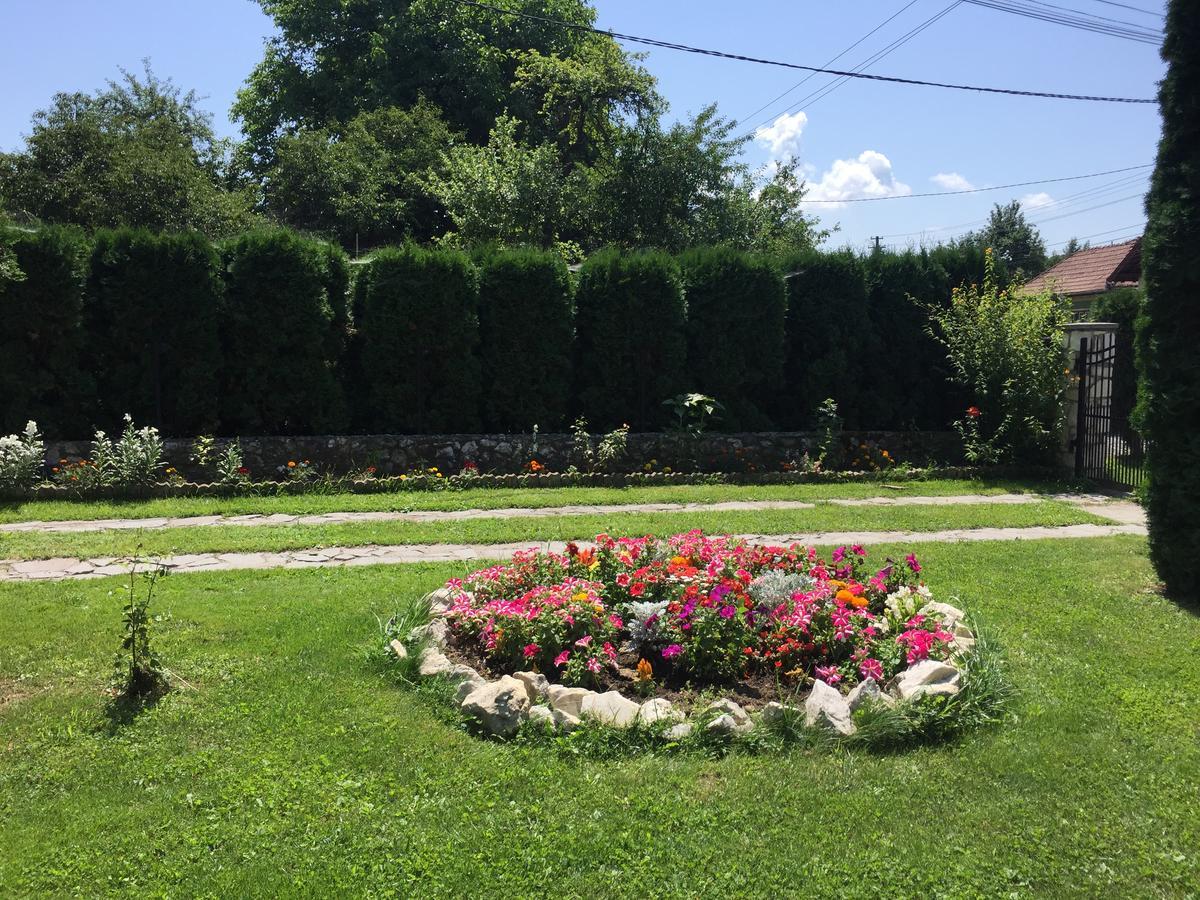 Hanga Apartments Sovata Dış mekan fotoğraf